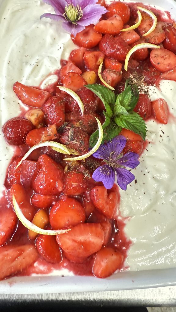 Homepage Photos from Bastian Jaeger (7)