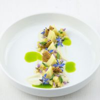 Homepage Photos from Bastian Jaeger (1)